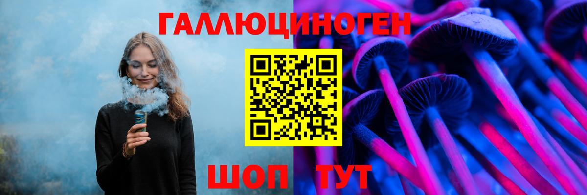 Красный Сулин  где найти   Вход с VPN  Псилоцибиновые грибы Psilocybine cubensis  Галлюциногенные грибы GOLDEN TEACHER 